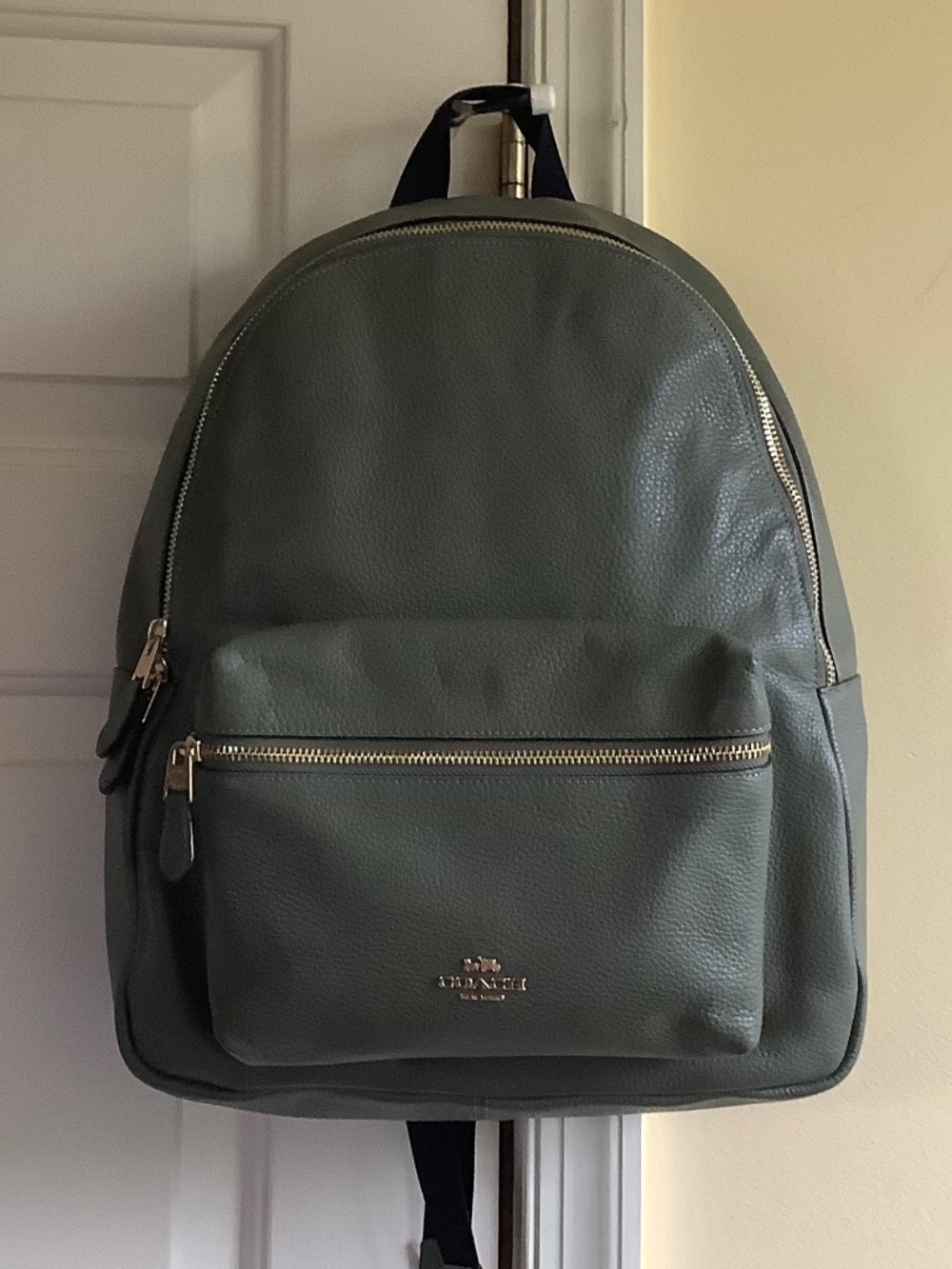 COACH Charlie Pebbled Leather Medium Backpack Olive OS